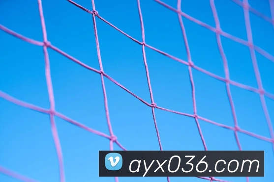 爱游戏ayx品牌故事